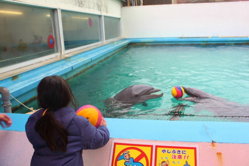 IMG_3753 - コピー